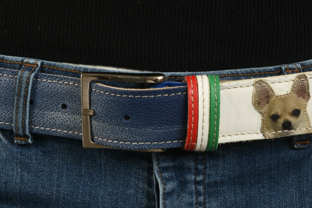 Fibbia classica cintura 'Pet Love' con dettagli tricolore