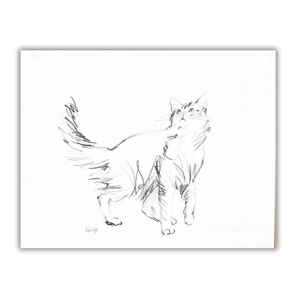 Disegno originale di gatto firmato da Amleto Dalla Costa