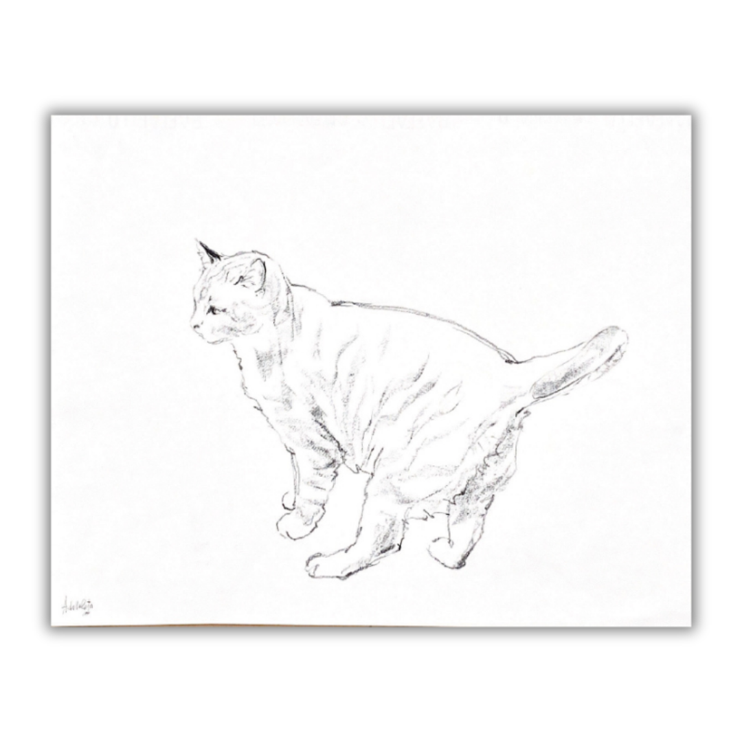 Original sketch Cat nr.8 - Amleto Dalla Costa