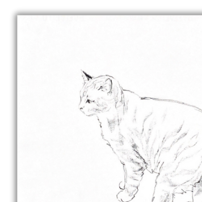 Original sketch Cat nr.8 - Amleto Dalla Costa