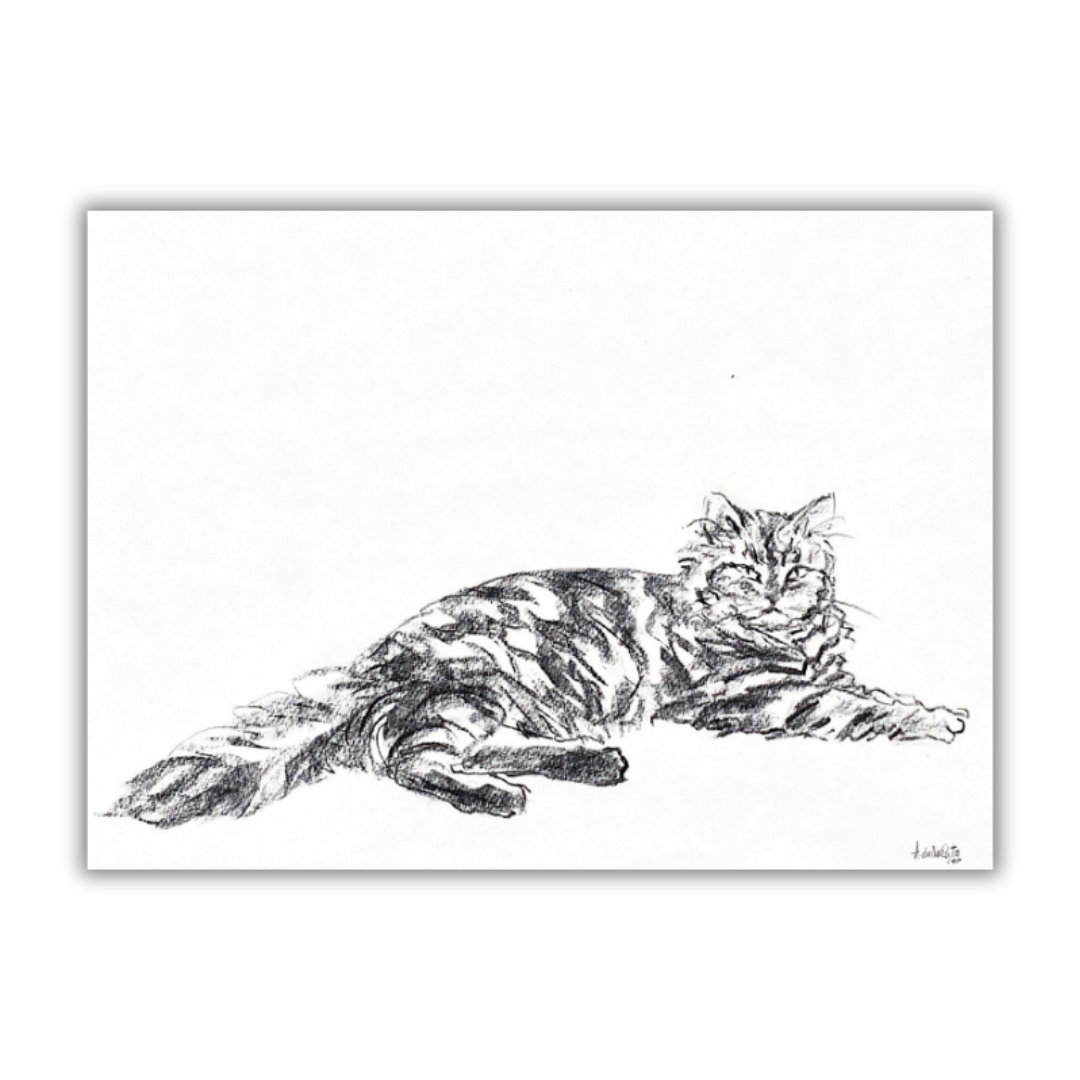 Disegno firmato di gatto sdraiato