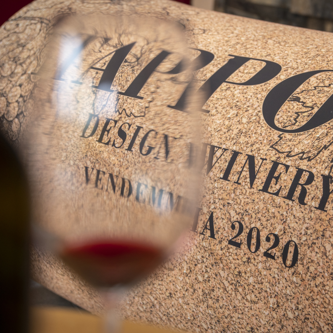 TAPPONE – Il Divano-Amaca che Sa di Vino