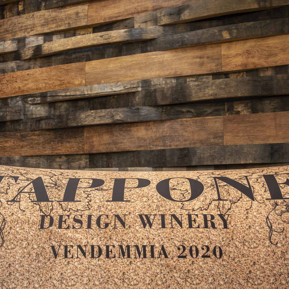 TAPPONE – Il Divano-Amaca che Sa di Vino