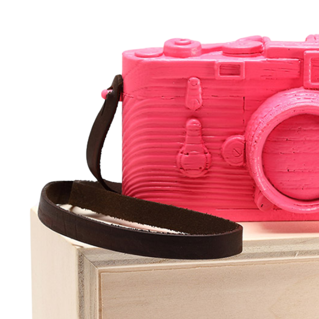 Dettaglio scultura in legno rosa di macchina fotografica Leica