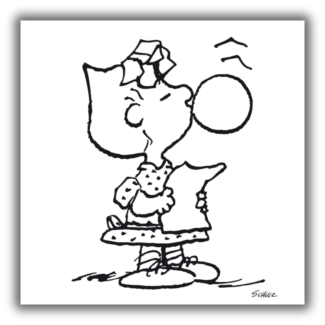 Dettaglio serigrafia Sally Peanuts in bianco e nero
