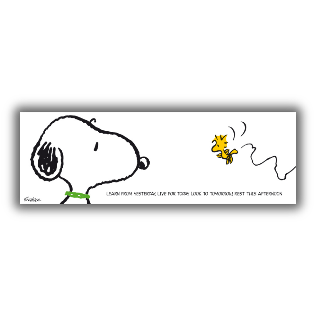 Stampa d'arte Snoopy con lezione di vita in inglese