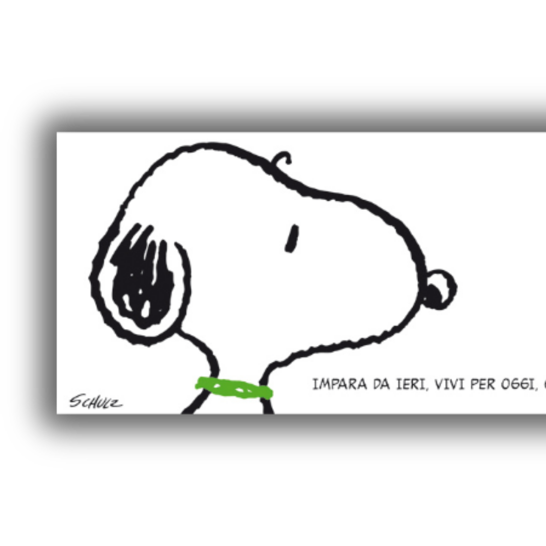 Dettaglio Snoopy con frase di Schulz in italiano