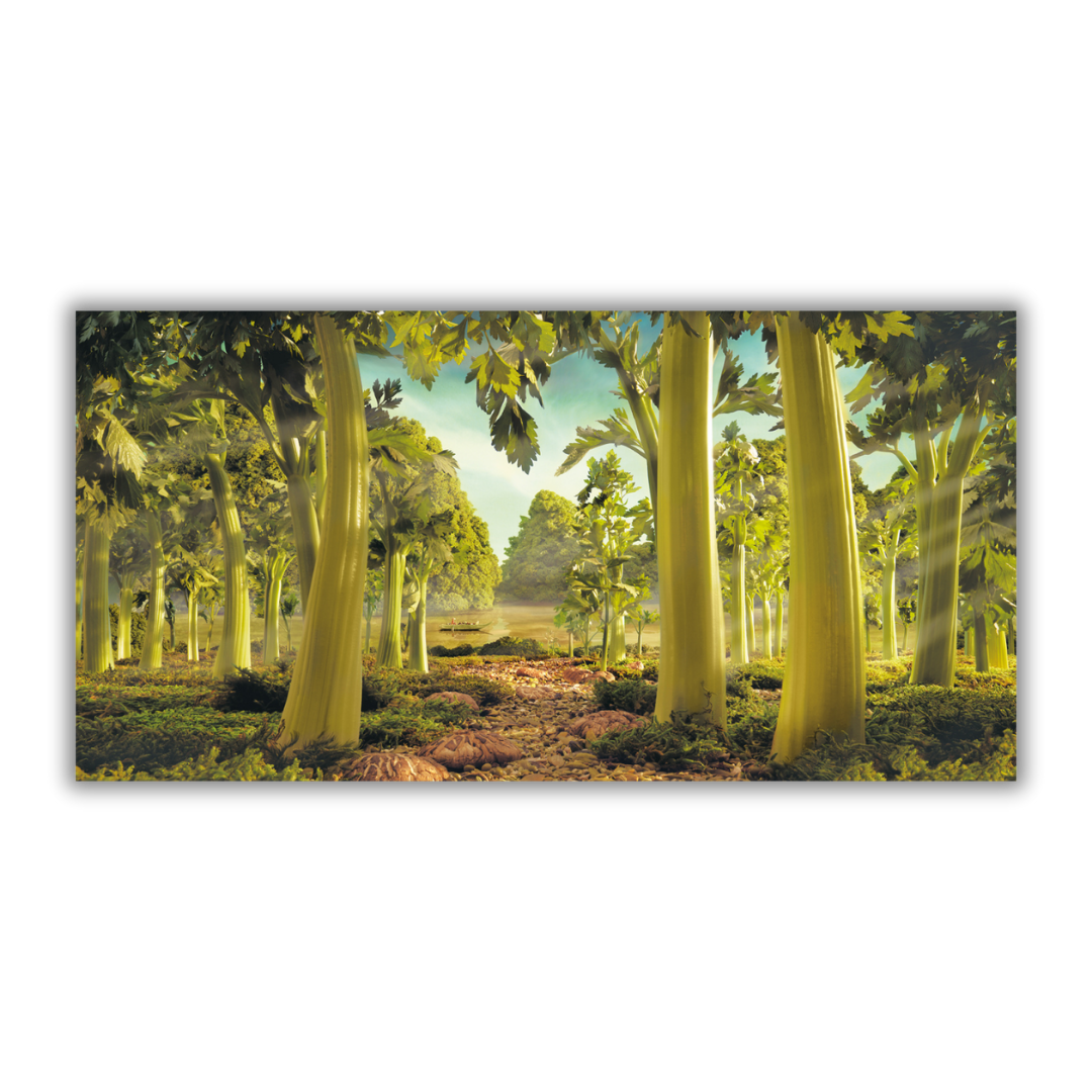 Quadro Opera d'arte di Carl Warner che ritrae una foresta fantastica composta da steli di sedano verdi, con sentieri che invitano all'esplorazione immaginativa.