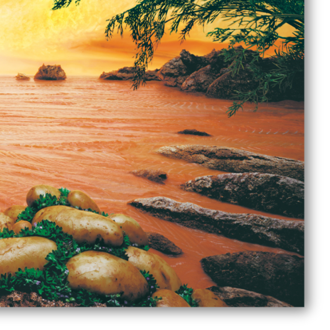 Dettaglio del paesaggio marino Salmon Sea di Carl Warner