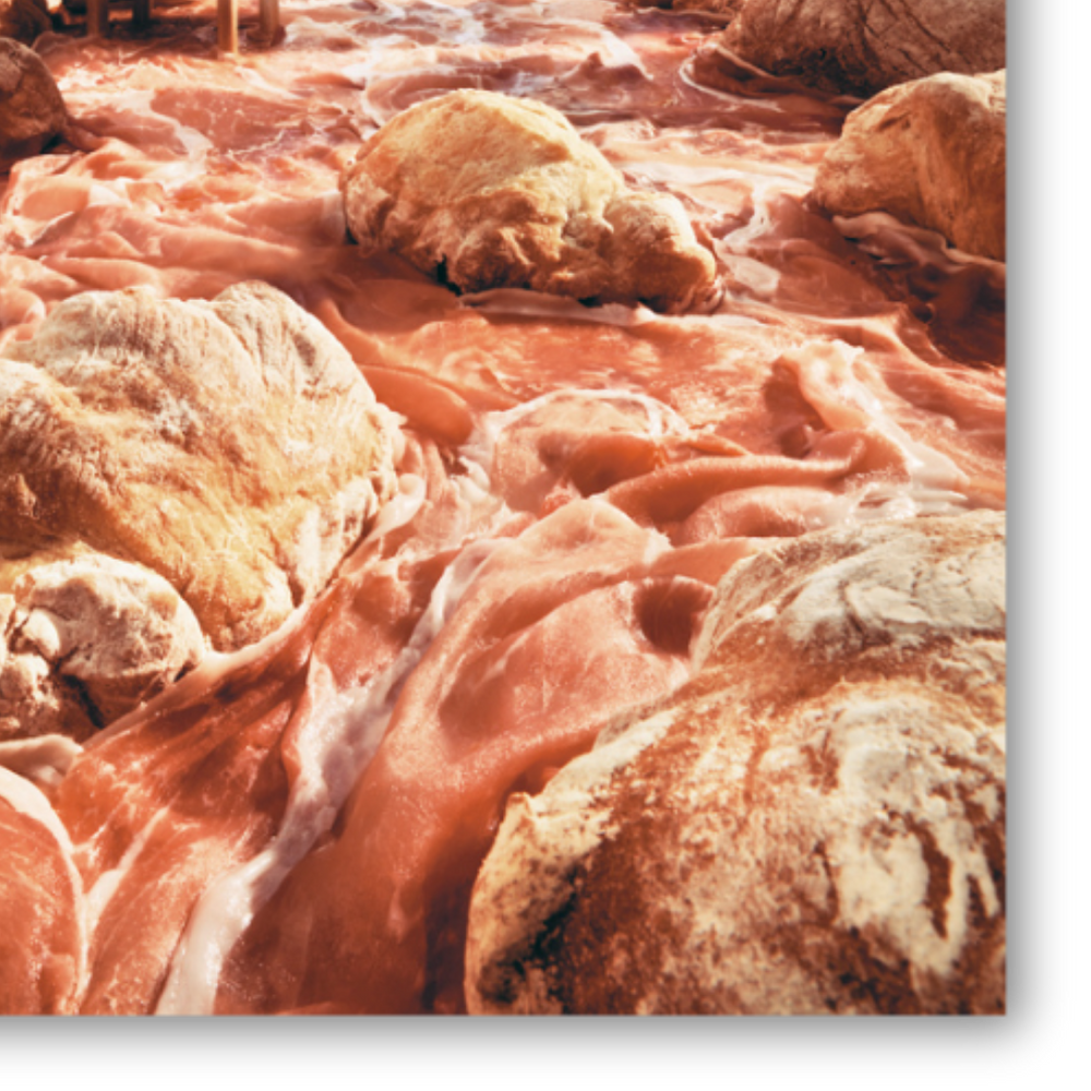 Dettaglio del paesaggio 'Salami Stream' di Carl Warner con rocce