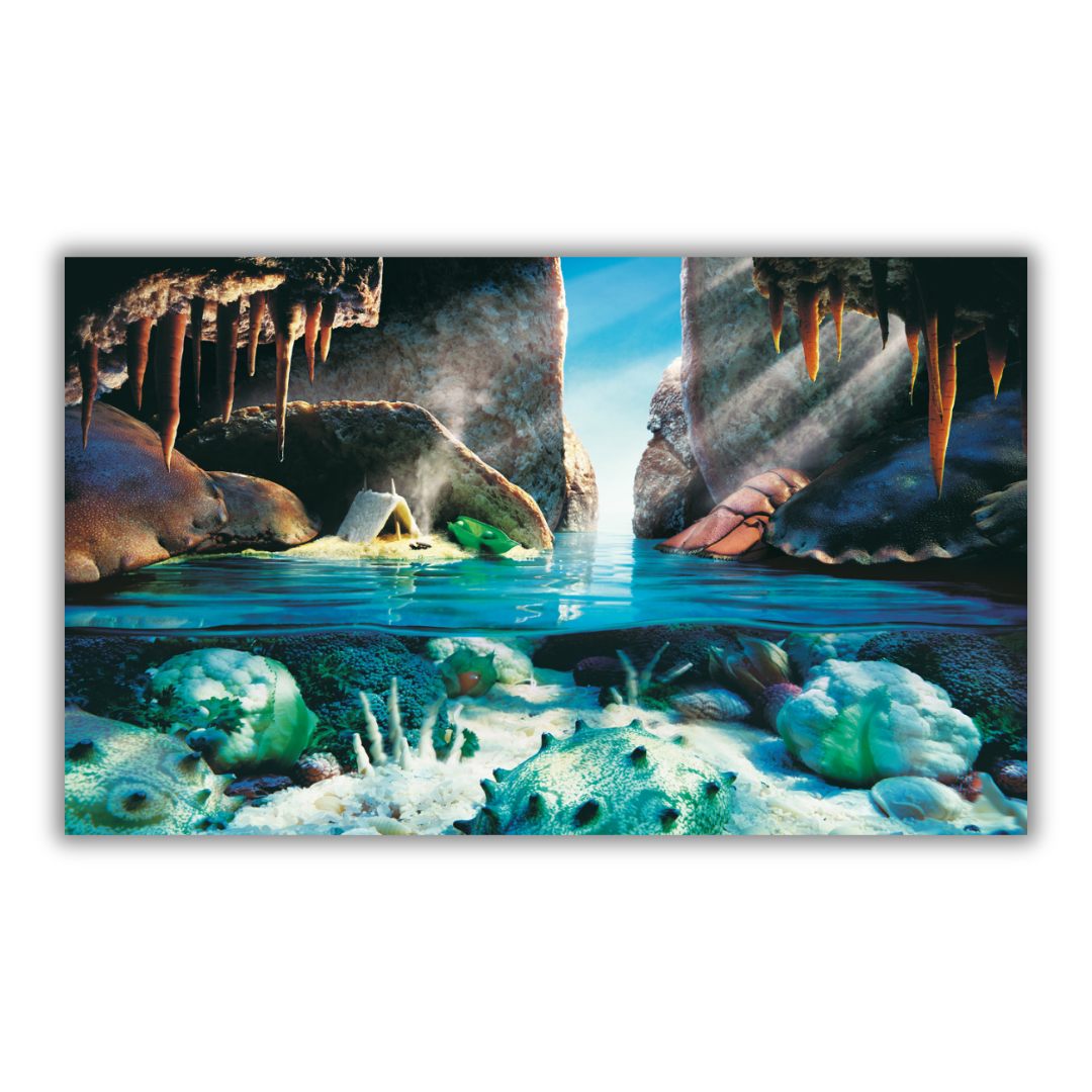 Quadro Illusione artistica 'Crab Cave', creata da Carl Warner con cibo per ricreare una scena marina vivida e dettagliata.
