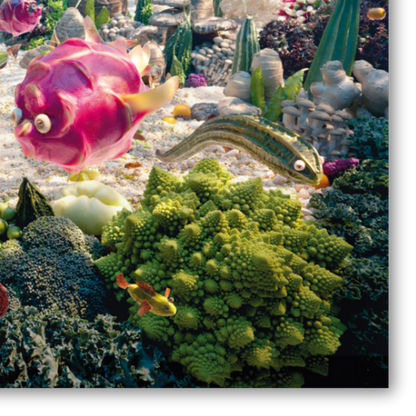 Dettaglio Quadro Opera 'Coralscape' di Carl Warner, un affascinante paesaggio corallino artistico, porta un tocco di oceano e natura in un moderno ambiente di cucina.