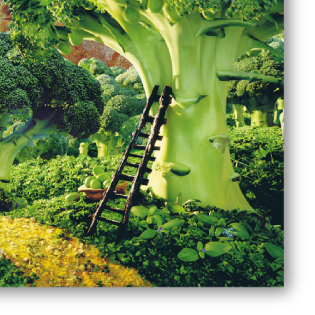 Dettaglio Quadro La 'Broccoli Forest' di Carl Warner, una rappresentazione artistica di una foresta creata interamente da frutta e verdura, un esempio perfetto di come l'arte possa ispirare apprezzamento e rispetto per la natura 🌳🥦