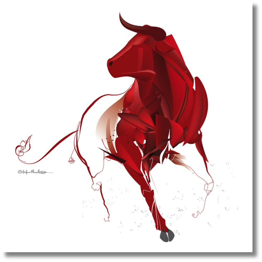 Quadro TORO. Acquista la PASSIONE GRANATA!