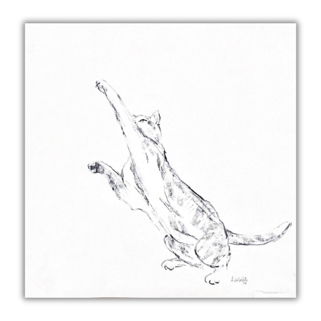 Quadro Bozzetto artistico di un gatto che si estende, pieno di vita e movimento, opera originale di [Nome Artista], per amanti dell'arte e della natura felina 🐱🖼️