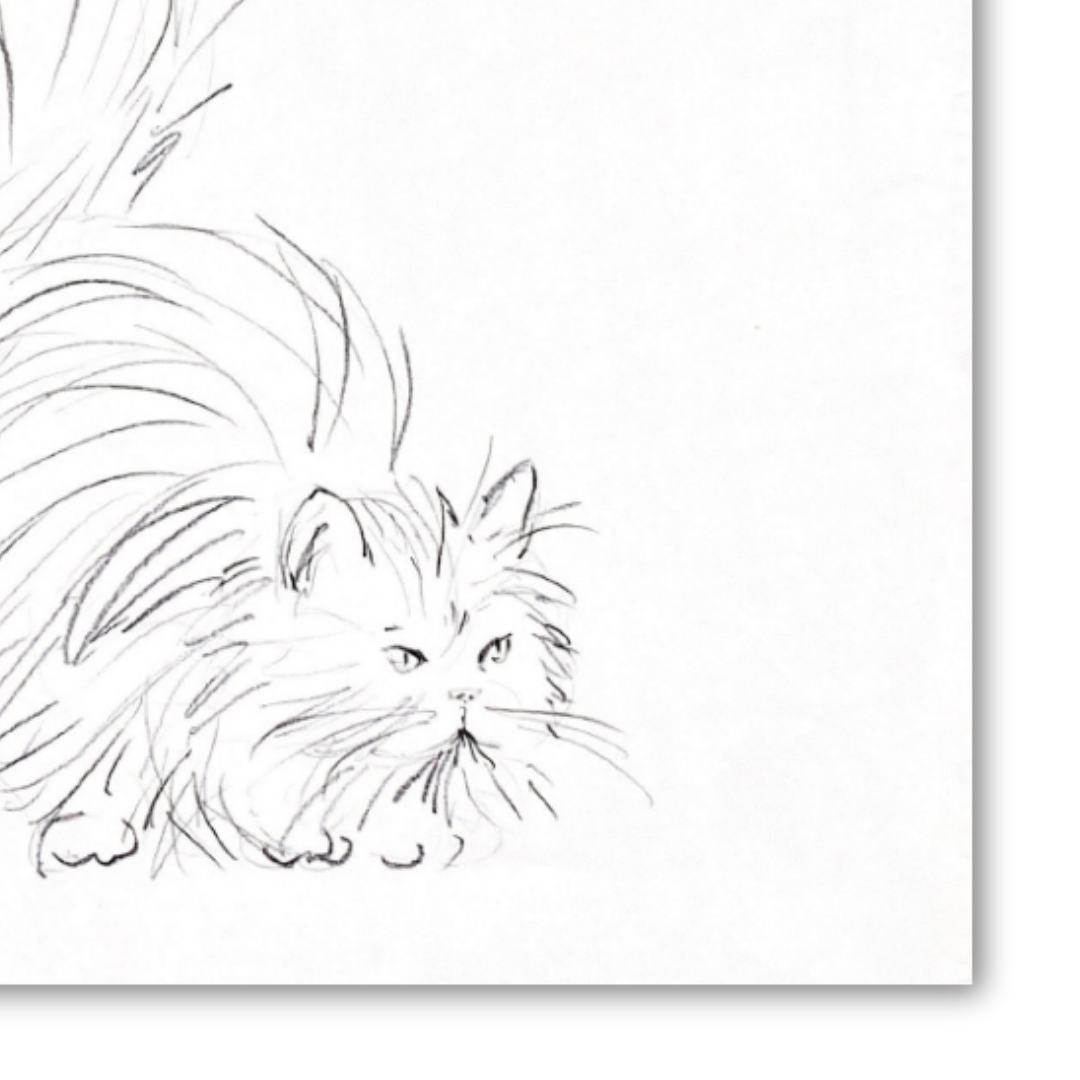 Dettaglio Quadro disegno originale ed Esclusiva serie di bozzetti 'Original Cats' di Amleto Dalla Costa. Arte felina originale, numerata e firmata.