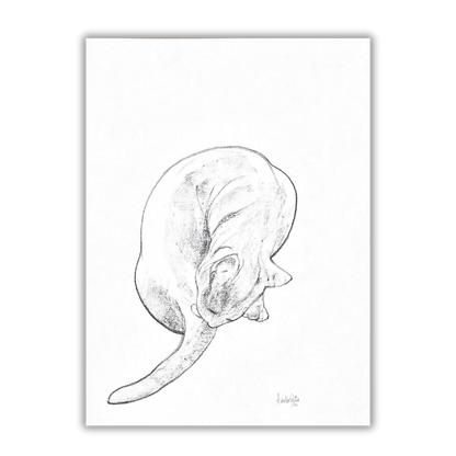 Original sketch Cat nr.7 - Amleto Dalla Costa