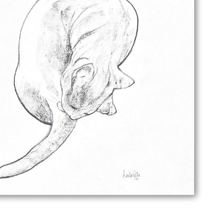 Original sketch Cat nr.7 - Amleto Dalla Costa
