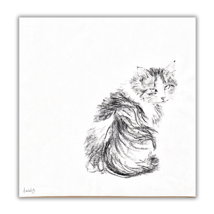 Original sketch Cat nr.9 - Amleto Dalla Costa