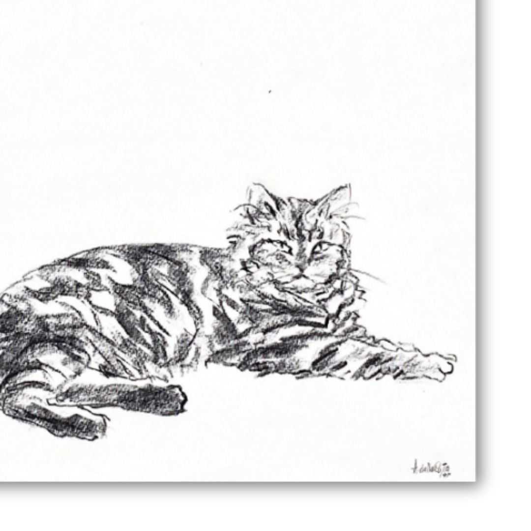 Original sketch Cat nr.10 - Amleto Dalla Costa