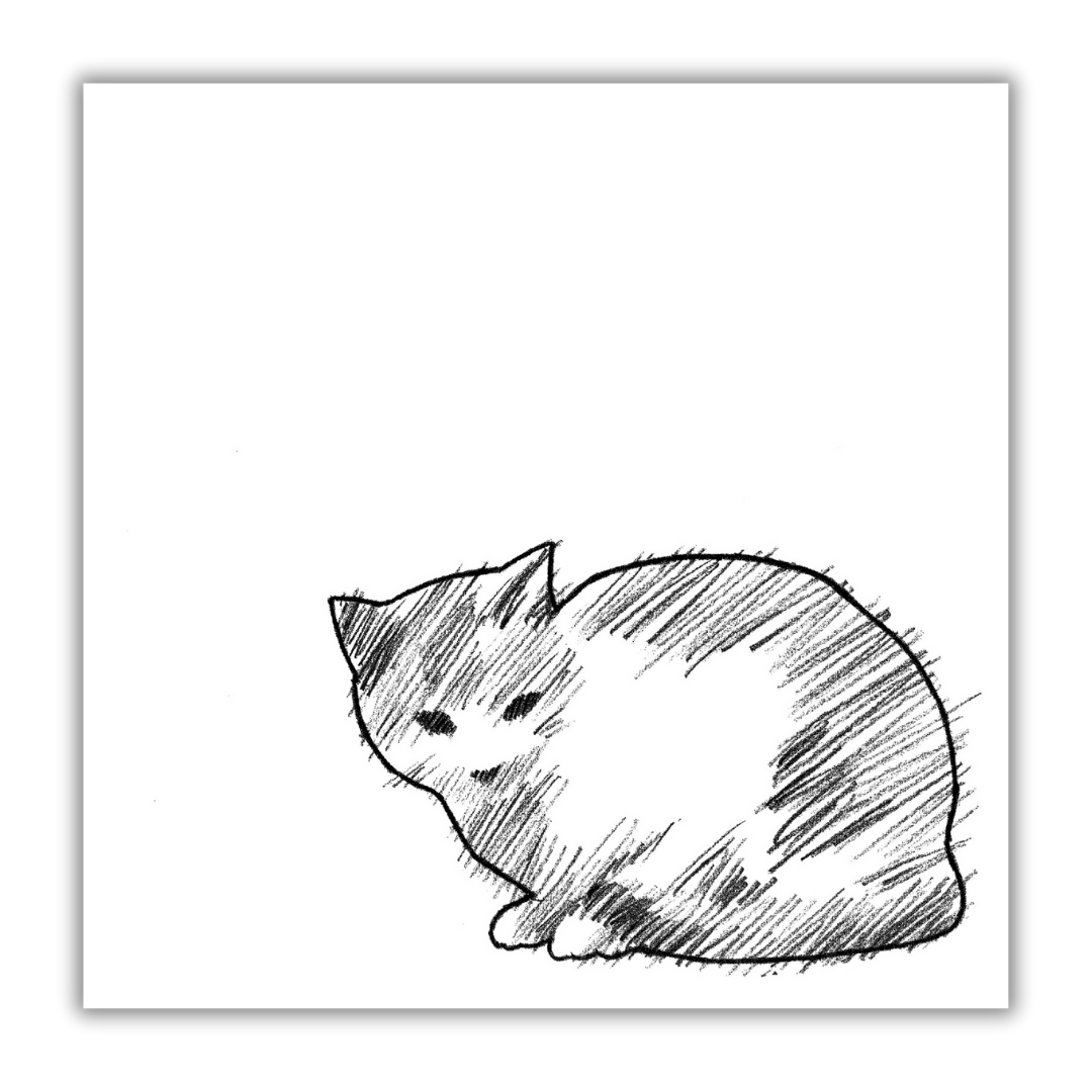 Quadro Opera in bianco e nero di un gatto accoccolato, semplice ma espressivo, intitolato "MIO" di Amleto Dalla Costa.