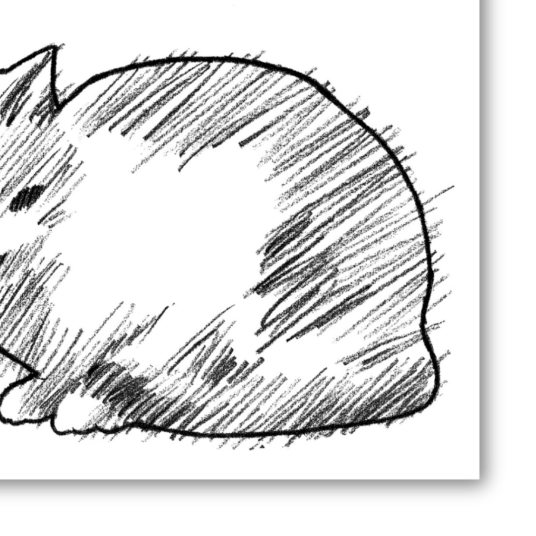 Dettaglio di Opera in bianco e nero di un gatto accoccolato, semplice ma espressivo, intitolato "MIO" di Amleto Dalla Costa.