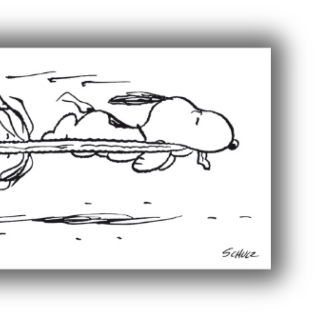 Dettaglio dell'Illustrazione in bianco e nero "SNOOPY & Charlie Brown Fly Away" con Snoopy e Charlie Brown legati l'uno all'altro in un'aspirazione al volo.