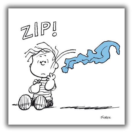Il Quadro Linus, Zip! mostra Linus con una espressione sorpresa mentre qualcosa sfreccia sopra di lui, con la parola "ZIP!" in alto e un tratto di colore blu che rappresenta il movimento improvviso.