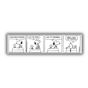 Quadro Striscia comica in bianco e nero "SNOOPY Learn from yesterday..." con Snoopy che insegna a imparare dal passato, vivere il presente, guardare al futuro e riposare.
